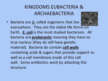 KINGDOMS EUBACTERIA & ARCHAEBACTERIA