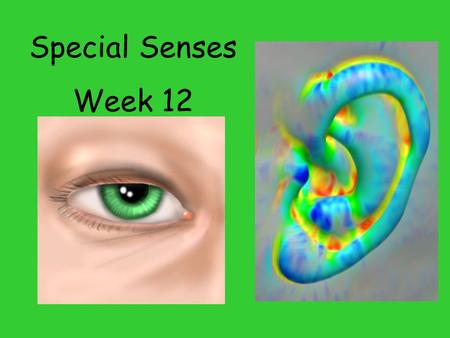 Special Senses Week 12.