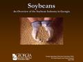 Soybeans An Overview of the Soybean Industry in Georgia Georgia Agricultural Education Curriculum Office Dr. Frank Flanders and Catrina Kennedy April 2006.