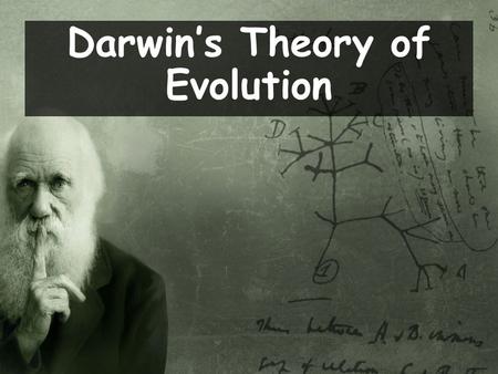 Darwin’s Theory of Evolution. Darwin’s Voyage of Discovery Galapagos Islands.