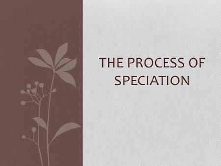 THE PROCESS OF SPECIATION. What is a Species? Species - a group of organisms capable of interbreeding and producing fertile offspring.