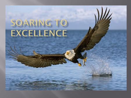 “Listening and Learning to strengthen relationships as we SOAR to excellence.” Purpose:  Provide structure and direction  Help ease some of the uncertainty.