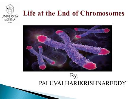 By, PALUVAI HARIKRISHNAREDDY. Contents 1.INTRODUCTION. 2. Telomere biology and cancer 2.1 Link between telomere and telomerase 2.2 Telomeres, a multi.