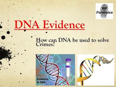 DNA Evidence How can DNA be used to solve Crimes?.