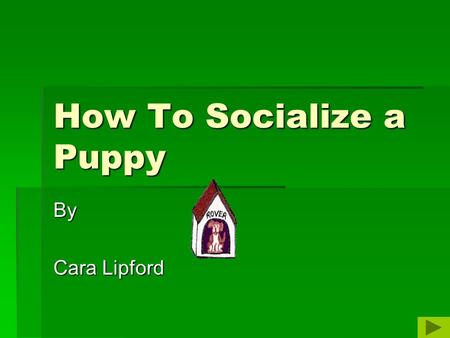 How To Socialize a Puppy By Cara Lipford. Socialization  Puppies that are socialized correctly are less likely to become liabilities later in life. 