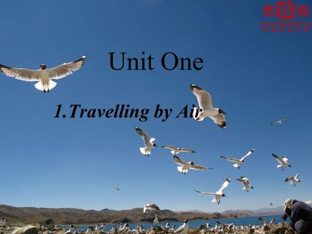 Unit One 1.Travelling by Air. 作宾语 v. + doing d________ e________ f________ h________ k________ l________ m________ p________ s________ i________.