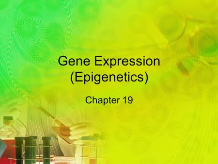 Gene Expression (Epigenetics) Chapter 19. What you need to know The functions of the three parts of an operon. The role of repressor genes in operons.