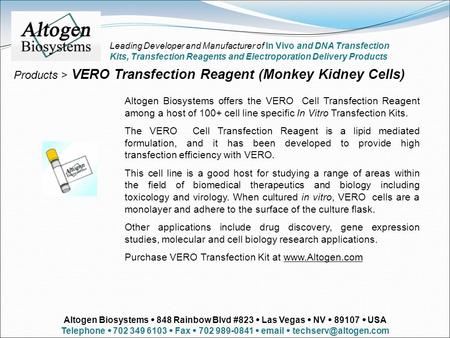 Products > VERO Transfection Reagent (Monkey Kidney Cells) Altogen Biosystems offers the VERO Cell Transfection Reagent among a host of 100+ cell line.