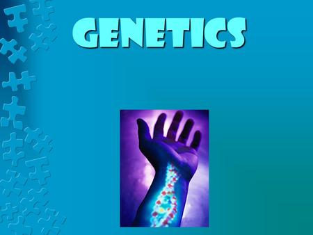 Genetics. Genetics vocabulary terms INHERITANCE or HEREDITY- The genetic transmission of characteristics from parent to offspring, such as hair, eye,