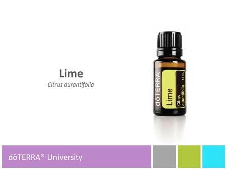 Lime Citrus aurantifolia dōTERRA® Product Tools dōTERRA® University.