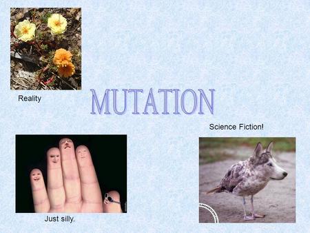 Reality Science Fiction! Just silly.. 1. Some mutations affect a single gene, while others affect an entire chromosome. 2. A mutation is a change in an.