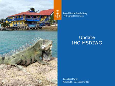 MACHC16, December 2015 Hydrographic Service Leendert Dorst Update IHO MSDIWG.