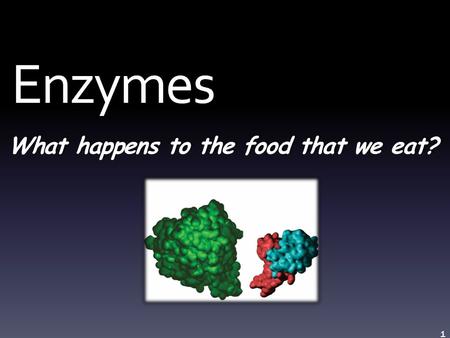 What happens to the food that we eat? Enzymes 1. It breaks down into… Carbohydrates Proteins Lipids.