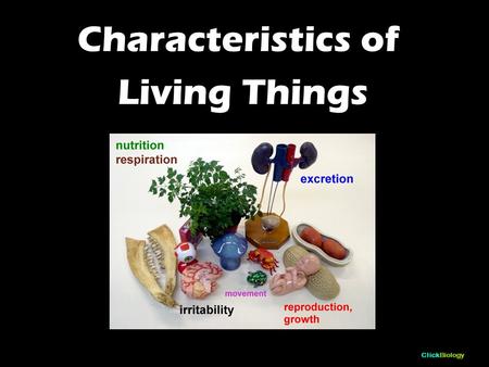 Difference Between Morphology And Physiology