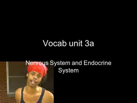 Vocab unit 3a Nervous System and Endocrine System.