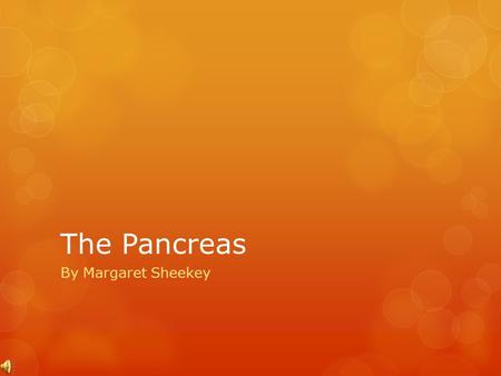 The Pancreas By Margaret Sheekey Histology of the Pancreas The pancreas is in the abdomen, just below the stomach It is to the right of the liver when.