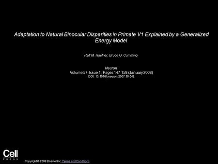 Adaptation to Natural Binocular Disparities in Primate V1 Explained by a Generalized Energy Model Ralf M. Haefner, Bruce G. Cumming Neuron Volume 57, Issue.