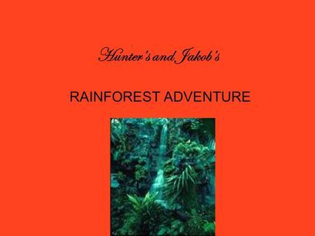 Hunter’s and Jakob’s RAINFOREST ADVENTURE. What is a rain forest? A rainforest is a nice place to be. It rains in the rainforest every day. It gets as.