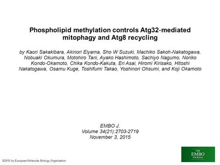 Phospholipid methylation controls Atg32 ‐ mediated mitophagy and Atg8 recycling by Kaori Sakakibara, Akinori Eiyama, Sho W Suzuki, Machiko Sakoh ‐ Nakatogawa,
