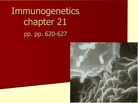 Immunogenetics chapter 21 pp. pp. 620-627. Lines of Defense Physical and Chemical Physical and Chemical Immune system Immune system 3 rd line 1 st and.