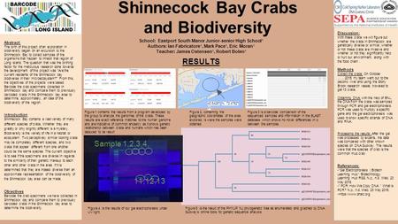 Shinnecock Bay Crabs and Biodiversity Abstract: The birth of this project of an exploration in biodiversity began on an excursion to the Shinnecock Bay.