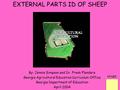 EXTERNAL PARTS ID OF SHEEP By: Jennie Simpson and Dr. Frank Flanders Georgia Agricultural Education Curriculum Office Georgia Department of Education April.