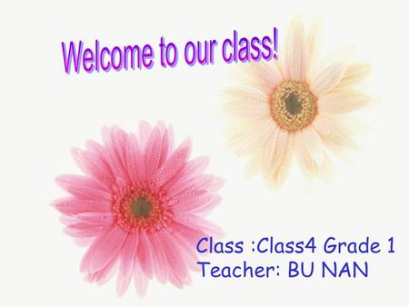 Class :Class4 Grade 1 Teacher: BU NAN 北师大版高中英语模块一 Unit 3 Lesson1 Festivals.