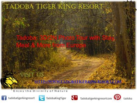 Tadobatigerkingresort TadobaKingTiger Tadobatigerkingresortcomtadoba Tadoba Tiger King Resort Visit Us