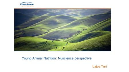 Introduction Young animal nutrition at Nuscience is based on two pillars: FEED INTAKE as much as possible as early as possible YAN at Nuscience ANIMAL.