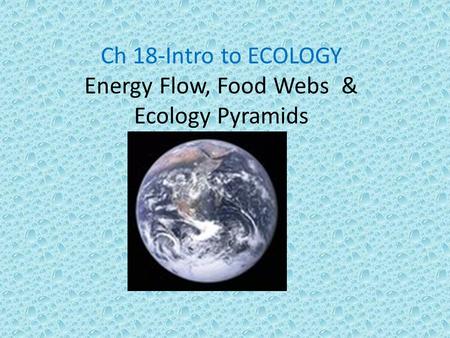 Ch 18-Intro to ECOLOGY Energy Flow, Food Webs & Ecology Pyramids.