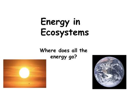 Energy in Ecosystems Where does all the energy go? 1.