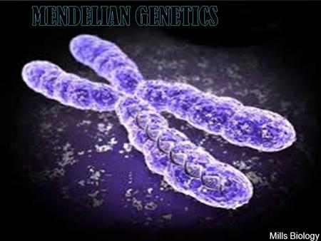 Mills Biology. California State Standards  2.c Students know how random chromosome segregation explains the probability that a particular allele will.