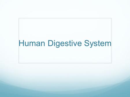 Human Digestive System. Functions Ingest food Break down food Move through digestive tract Absorb digested food and water Eliminates waste materials.