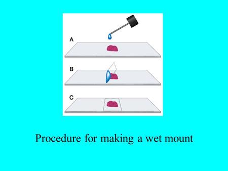 Procedure for making a wet mount