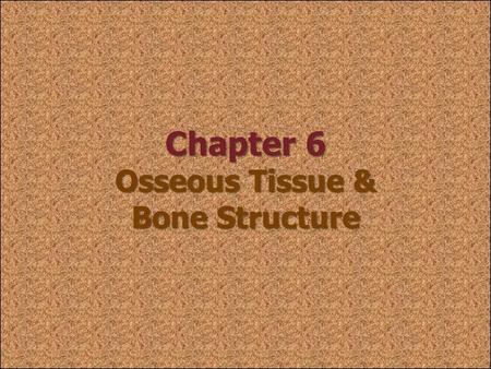 Chapter 6 Osseous Tissue & Bone Structure
