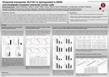 Glutamate transporter SLC1A1 is dysregulated in SN38- and Oxaliplatin-resistant colorectal cancer cells Elena Pedraz-Cuesta 1, Sandra Christensen 1, Anders.