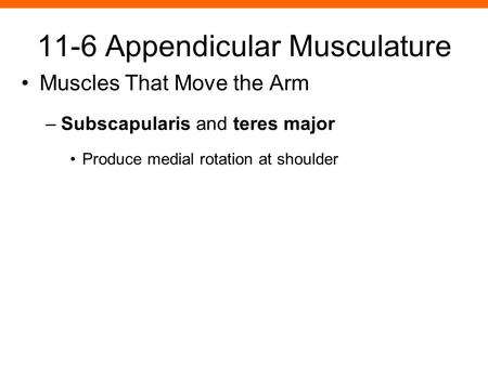 11-6 Appendicular Musculature