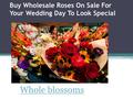 Buy Wholesale Roses On Sale For Your Wedding Day To Look Special
