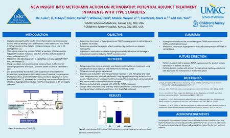 NEW INSIGHT INTO METFORMIN ACTION ON RETINOPATHY: POTENTIAL ADJUNCT TREATMENT IN PATIENTS WITH TYPE 1 DIABETES He, Luke 1 ; Li, Xiaoyu 2 ; Kover, Karen.