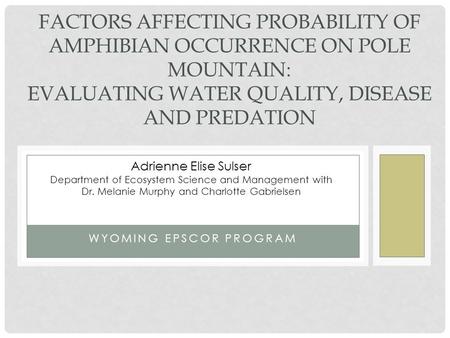 WYOMING EPSCOR PROGRAM FACTORS AFFECTING PROBABILITY OF AMPHIBIAN OCCURRENCE ON POLE MOUNTAIN: EVALUATING WATER QUALITY, DISEASE AND PREDATION Adrienne.