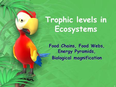 1 Trophic levels in Ecosystems Food Chains, Food Webs, Energy Pyramids, Biological magnification.