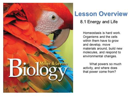 Lesson Overview Lesson Overview Energy and Life Lesson Overview 8.1 Energy and Life Homeostasis is hard work. Organisms and the cells within them have.