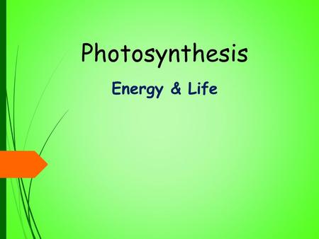 Photosynthesis Energy & Life. Objectives  Explain why almost all organism depend on photosynthesis  Describe the role of ATP in cellular activities.