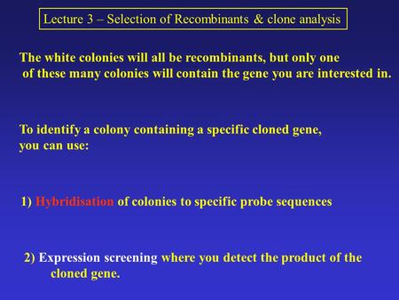 Lecture 3 – Selection of Recombinants & clone analysis The white colonies will all be recombinants, but only one of these many colonies will contain the.