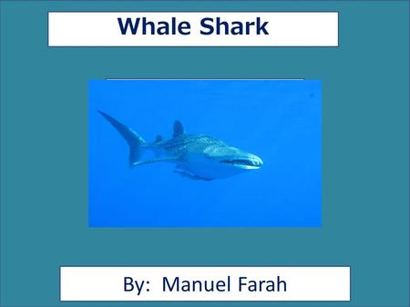 Whale Shark By: Manuel Farah. Animal Facts Description The whale shark has a white dot and blue skin and it has a purple A pic showing your animal. Movement.