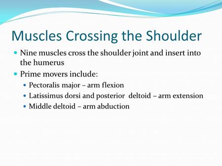 Muscles Crossing the Shoulder