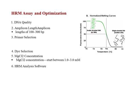 HRM Assay and Optimization 1. DNA Quality 2. Amplicon LengthAmplicon  lengths of 100–300 bp 3. Primer Selection 4. Dye Selection 5. MgCl2 Concentration.