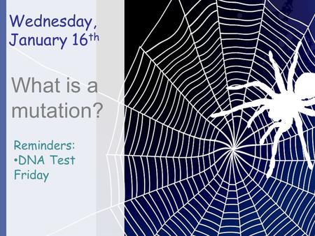 Wednesday, January 16 th What is a mutation? Reminders: DNA Test Friday.