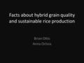 Facts about hybrid grain quality and sustainable rice production Brian Ottis Anna Ochoa.