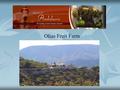 Olias Fruit Farm. Fancy a change of lifestyle? Want to live the Good Life? Then this property is for you! A fully organic fruit farm on a 106,000 m2 plot.